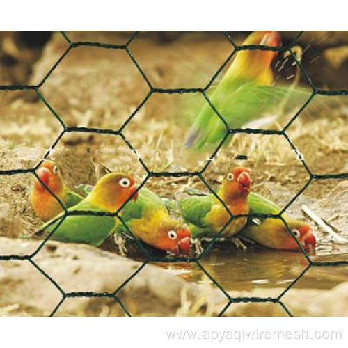 pvc coated/Galvanized Hexagonal Chicken Wire Mesh